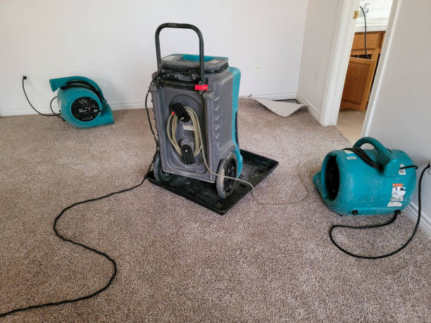 Best Flood restoration services  in Ashton Sandy Spring, MD
