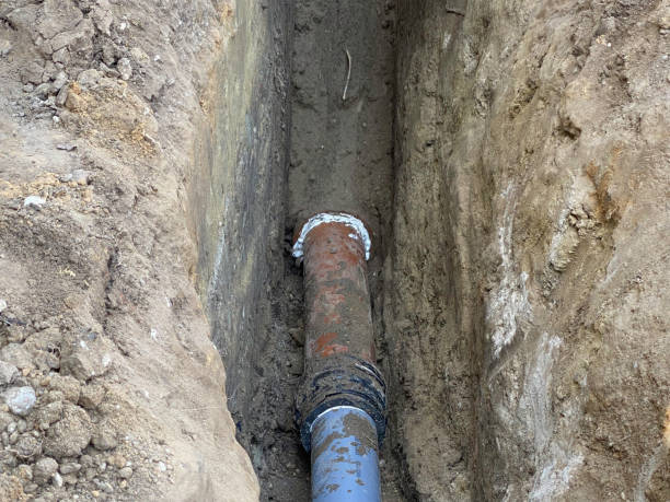 Best Mold removal after water damage  in Ashton Sandy Spring, MD
