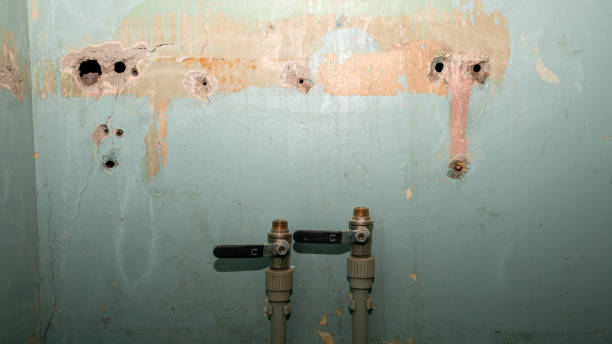 Best Water damage cleanup near me  in Ashton Sandy Spring, MD