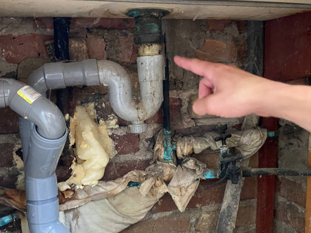 Best Local water damage restoration  in Ashton Sandy Spring, MD